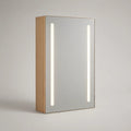 24 in W x 32 in H x 5.5 in D Oak LED Lighted Mirrored Cabinet